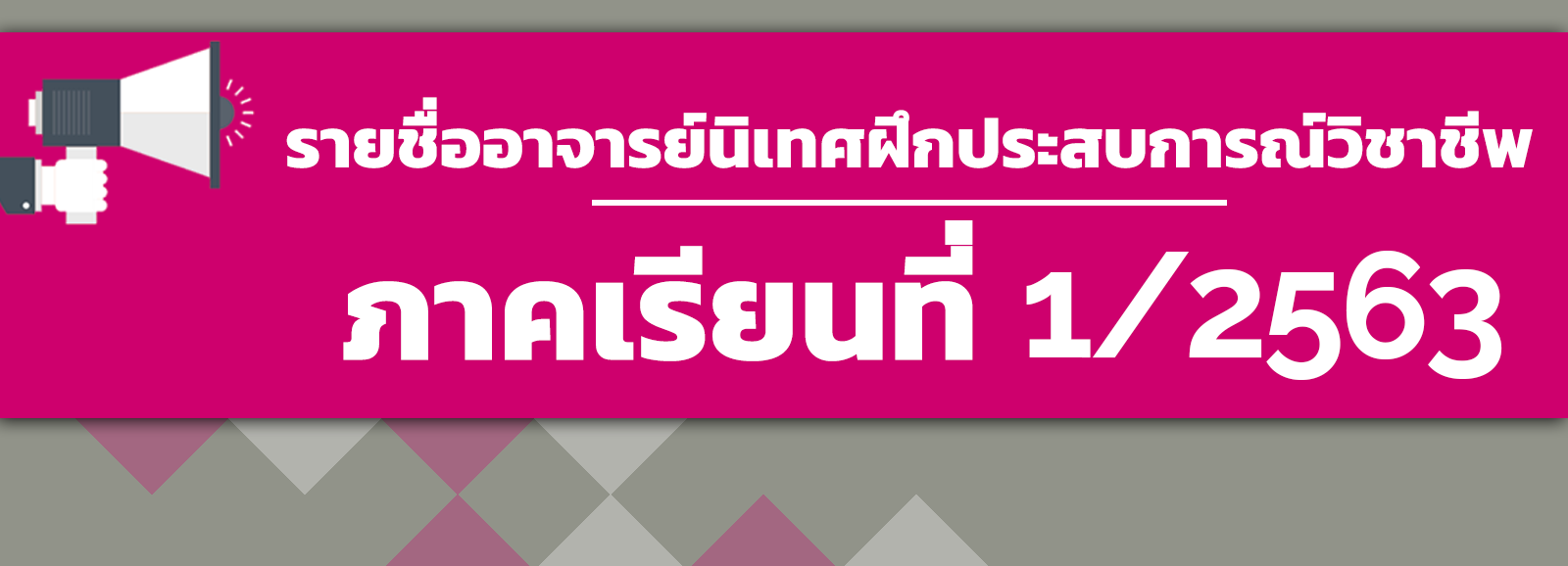 รายชื่ออาจารย์นิเทศฝึกประสบการณ์วิชาชีพ ภาคเรียนที่ 1/2563