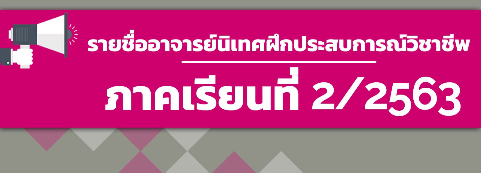 รายชื่ออาจารย์นิเทศฝึกประสบการณ์วิชาชีพ ภาคเรียนที่ 2/2563