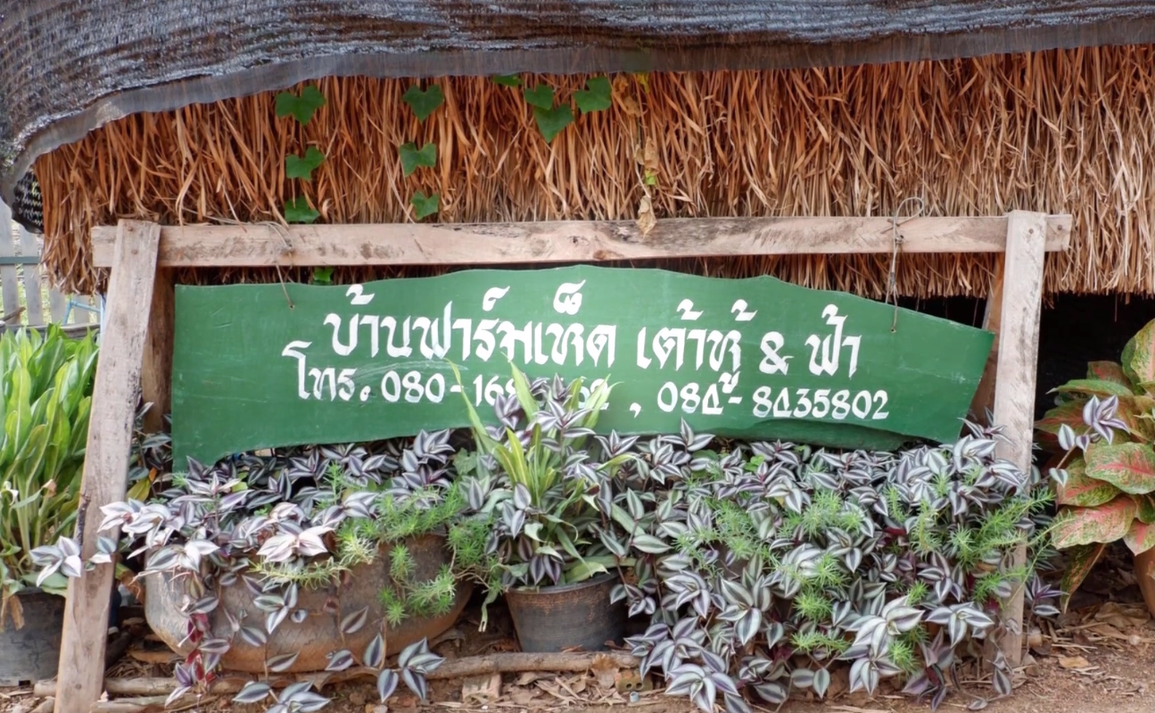 โครงการออมสินยุวพัฒน์รักษ์ถิ่น : บ้านฟาร์มเห็ด เต้าหู้&ฟ้า