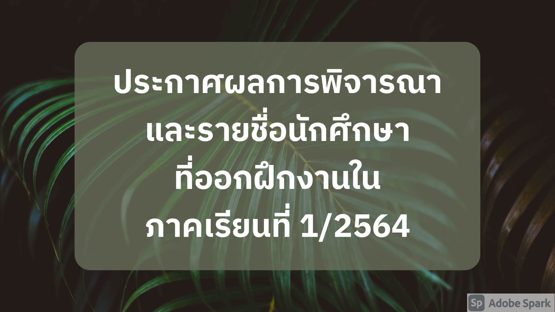 ประกาศผล การพิจารณา และรายชื่อนักศึกษา ที่ออกฝึกงานใน ภาคเรียนที่ 1/2564